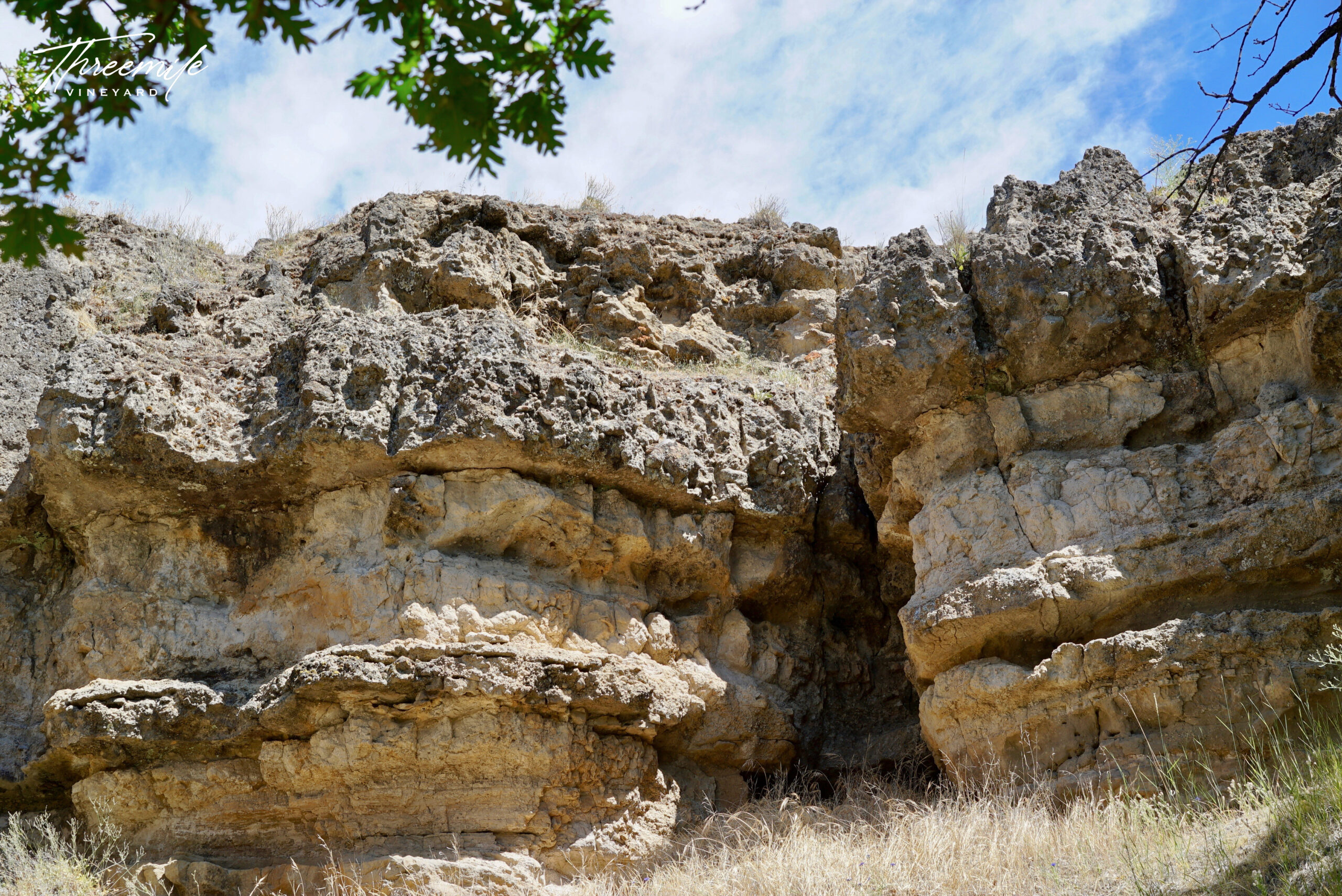 Layered bedrock in the the Dalles at Threemile Vineyard