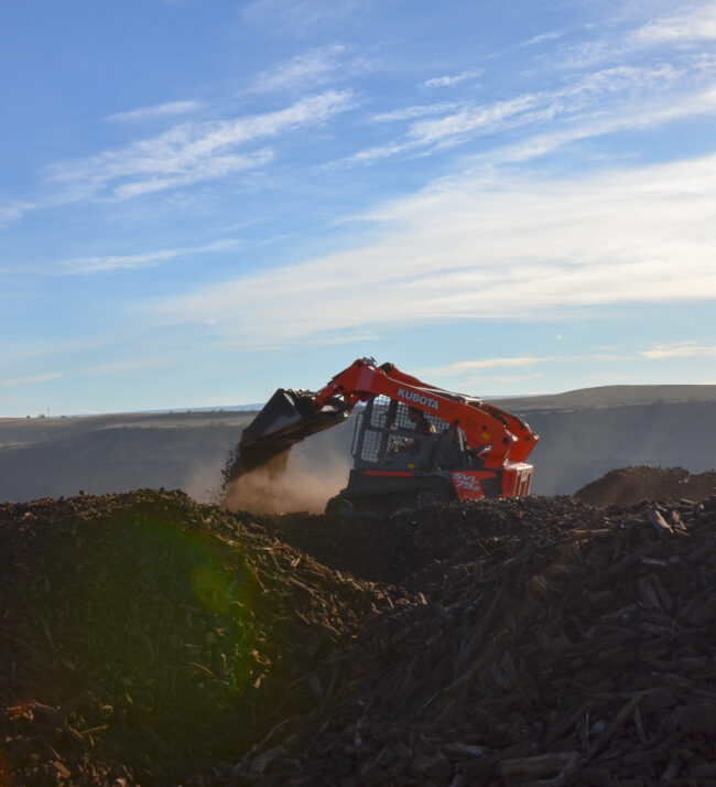 Erosion_management_vineyard_mulch_farming