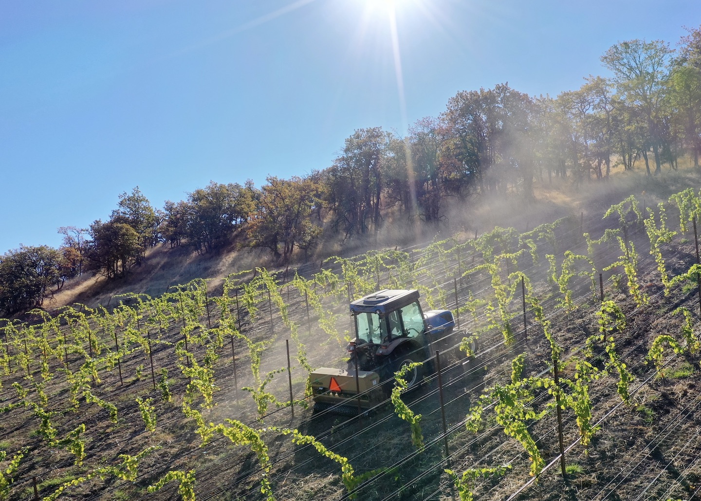 Fall_2020_cover_threemile_vineyard