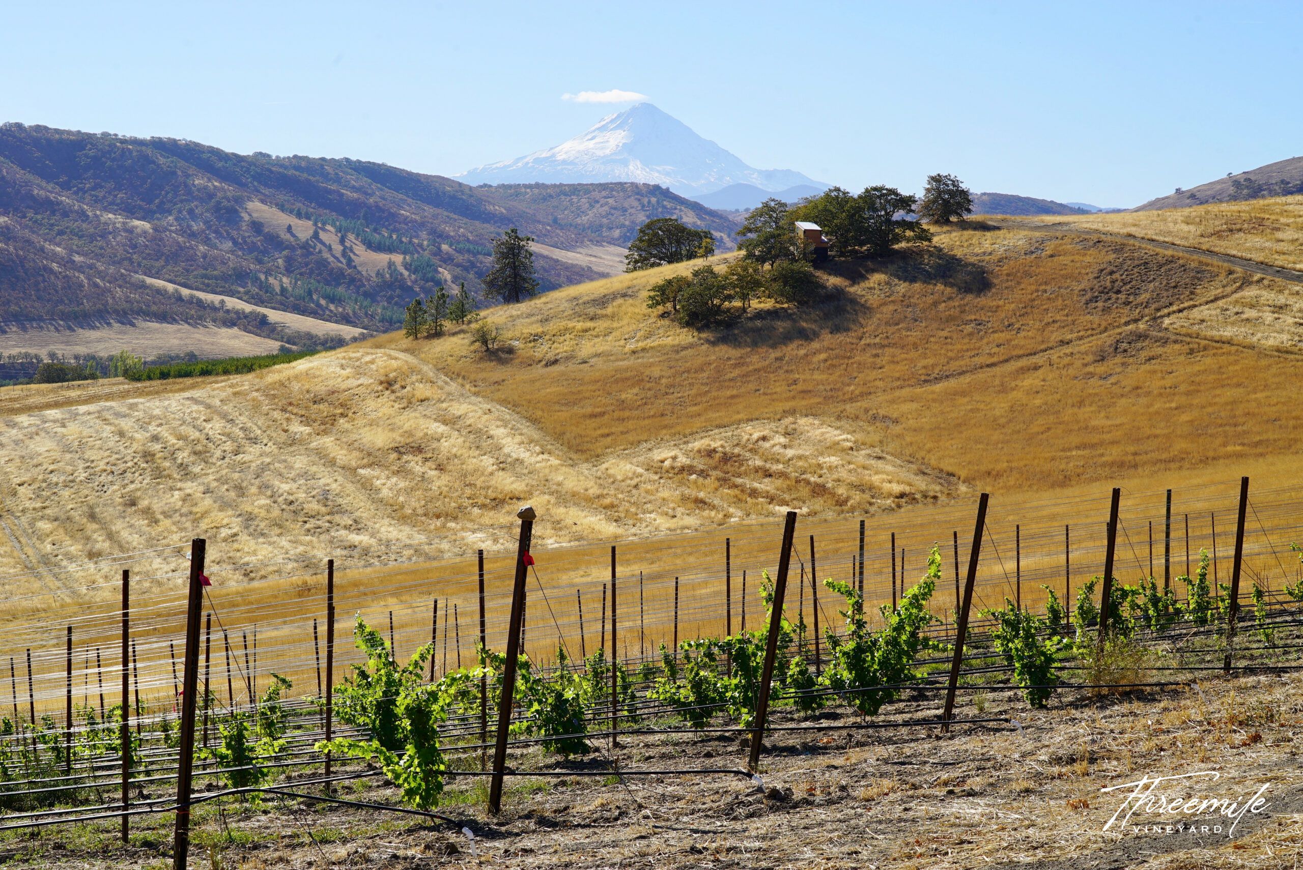High elevation vineyard