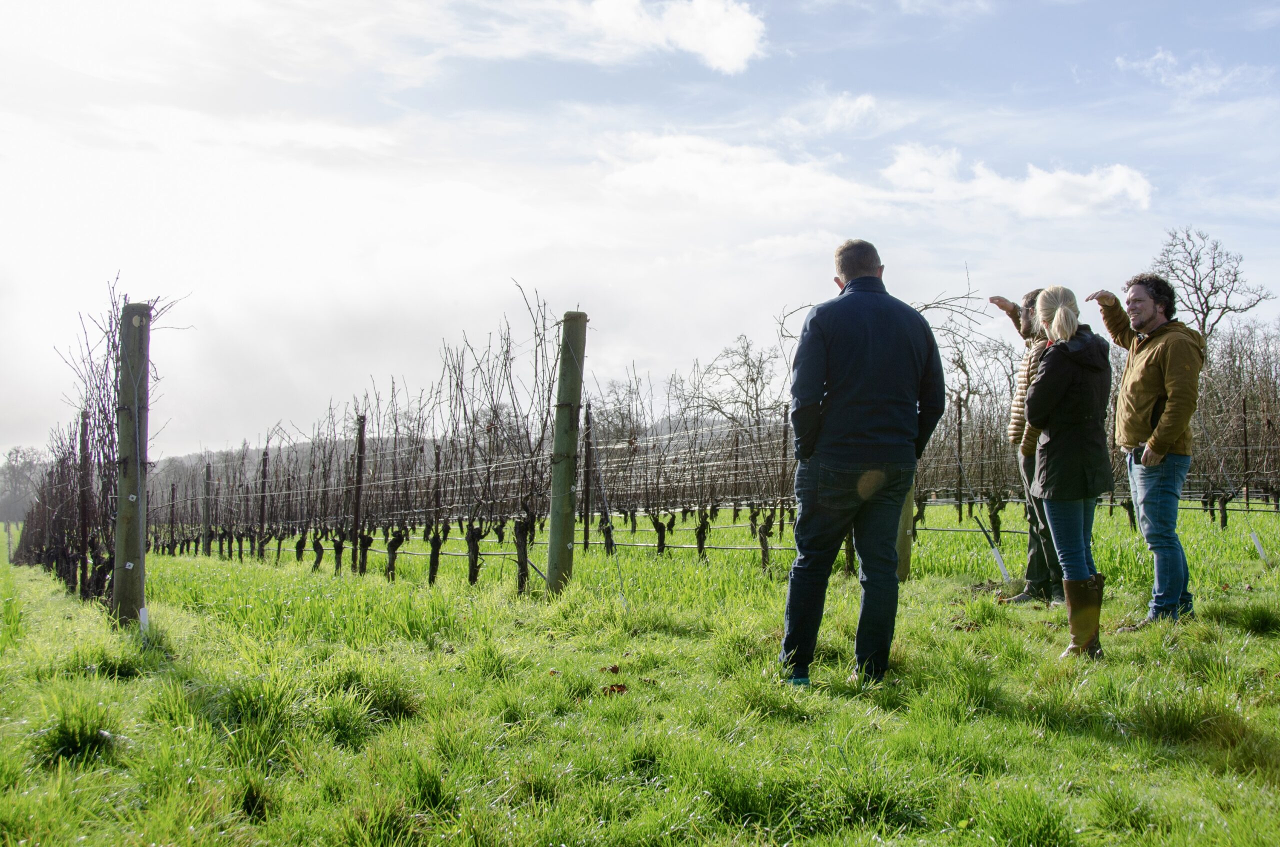 Coming_soon_wright_tempranillo Group of people in the vineyard