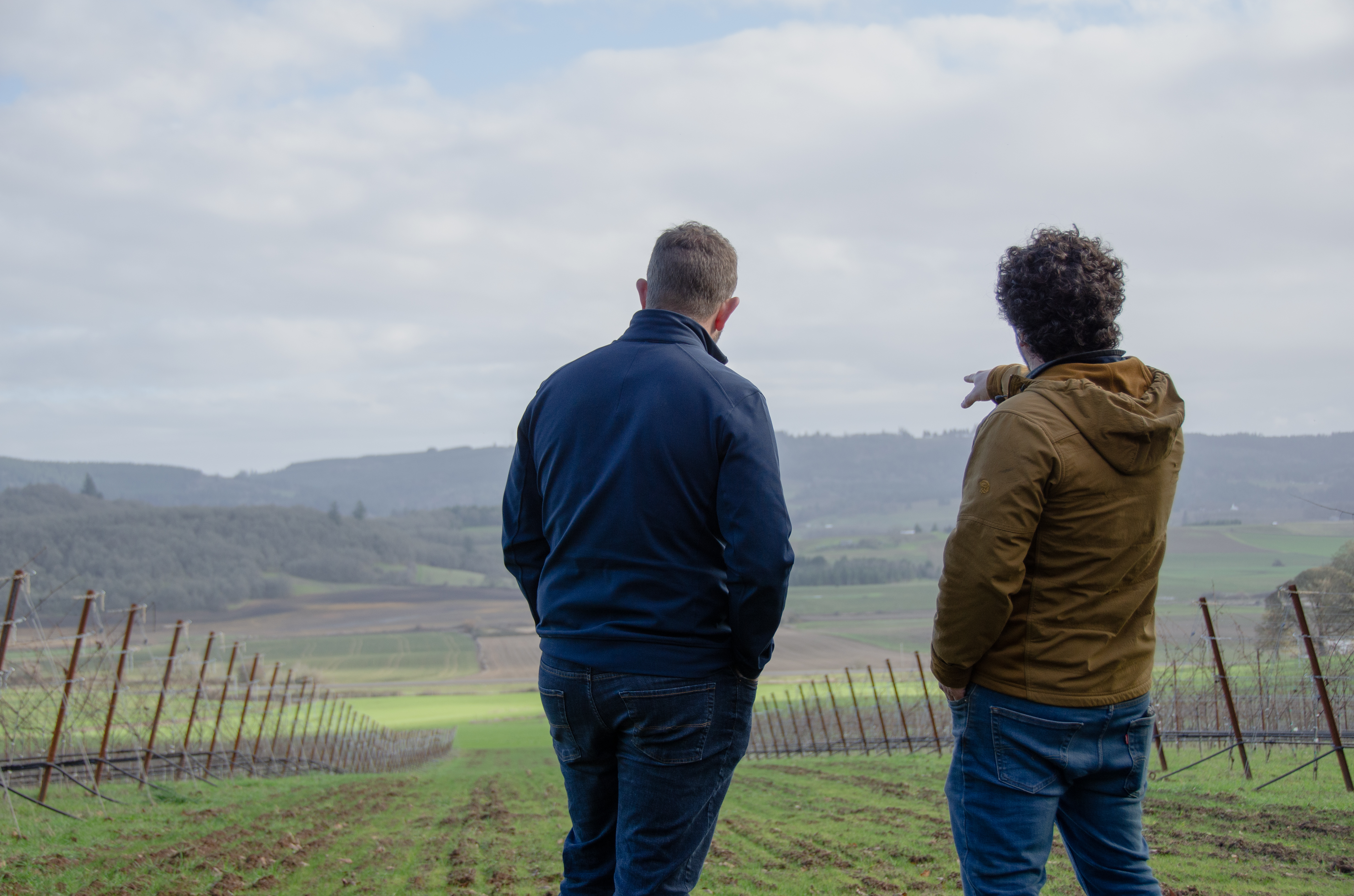 Edwin_martinis_mitchell_wine_Group_Joe_wright