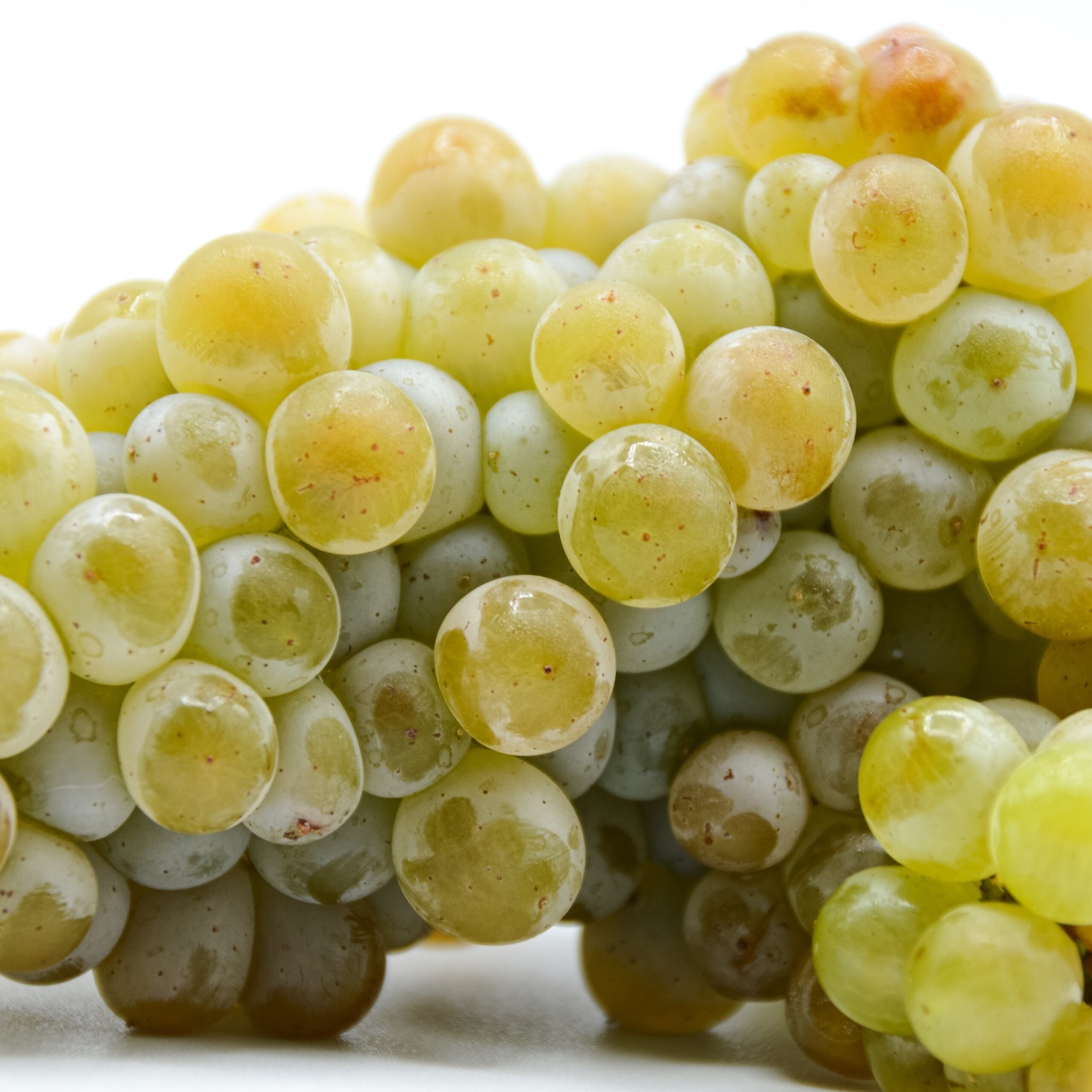 Chenin_blanc_triptych_2_Close