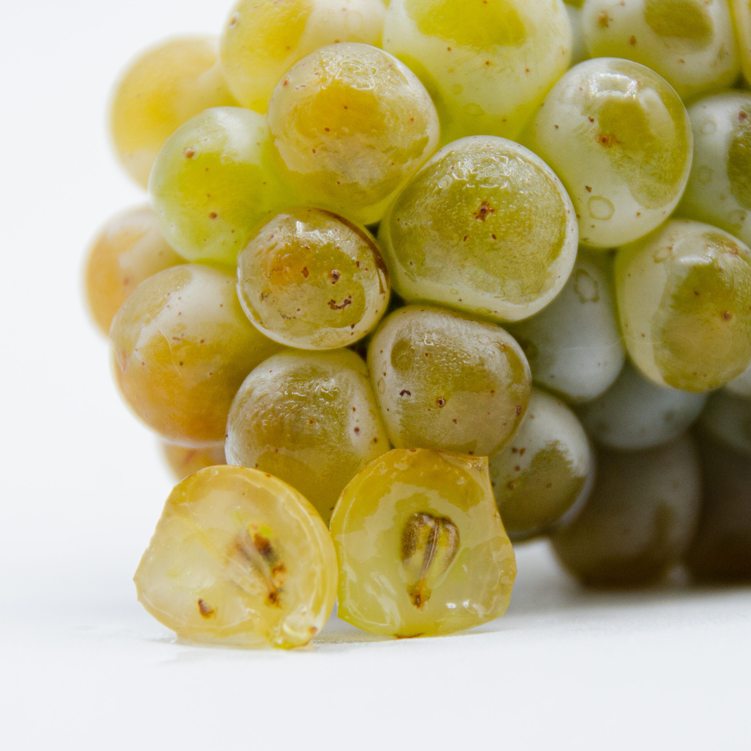 Chenin_blanc_triptych_3