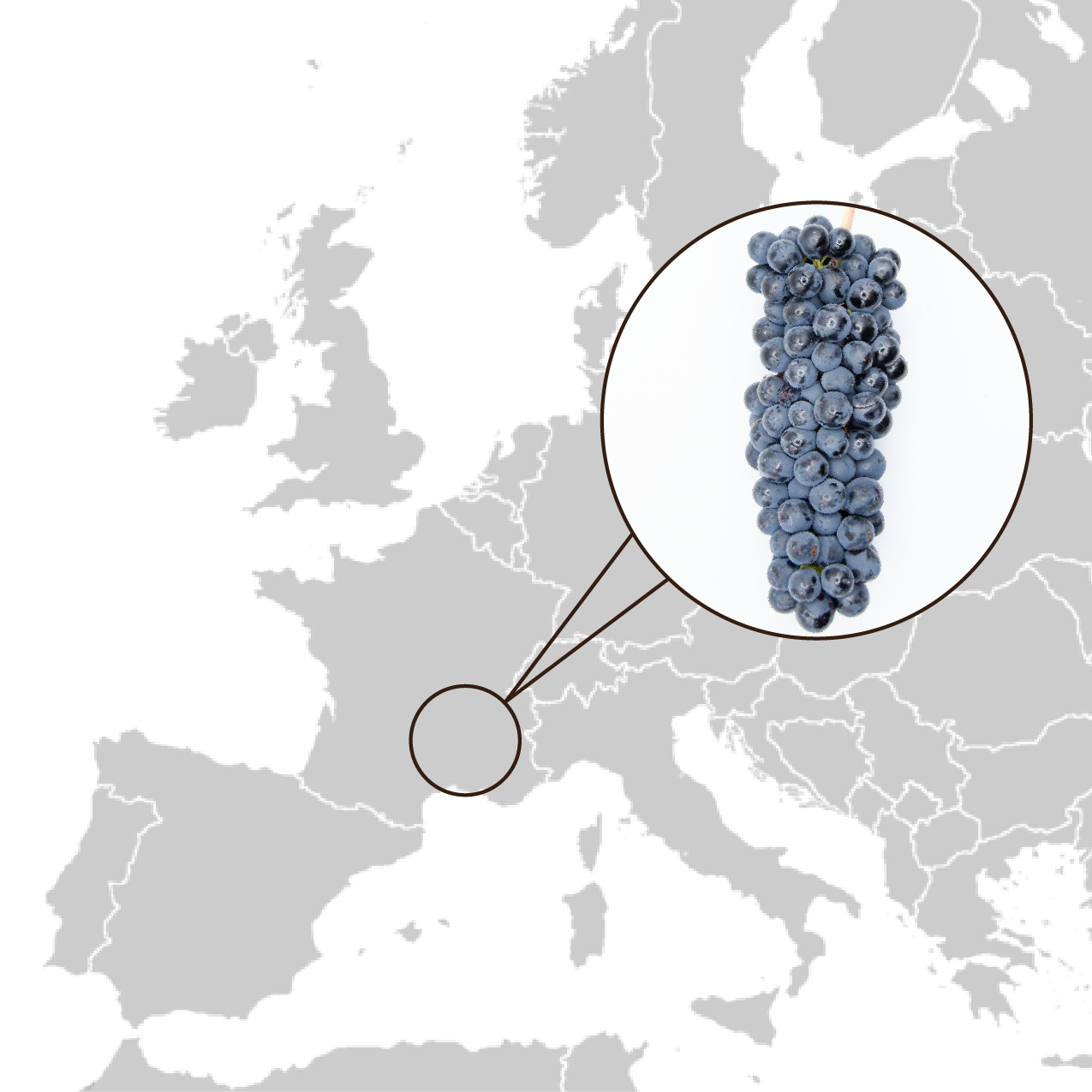 Syrah_origins-01 Syrah_origins-01