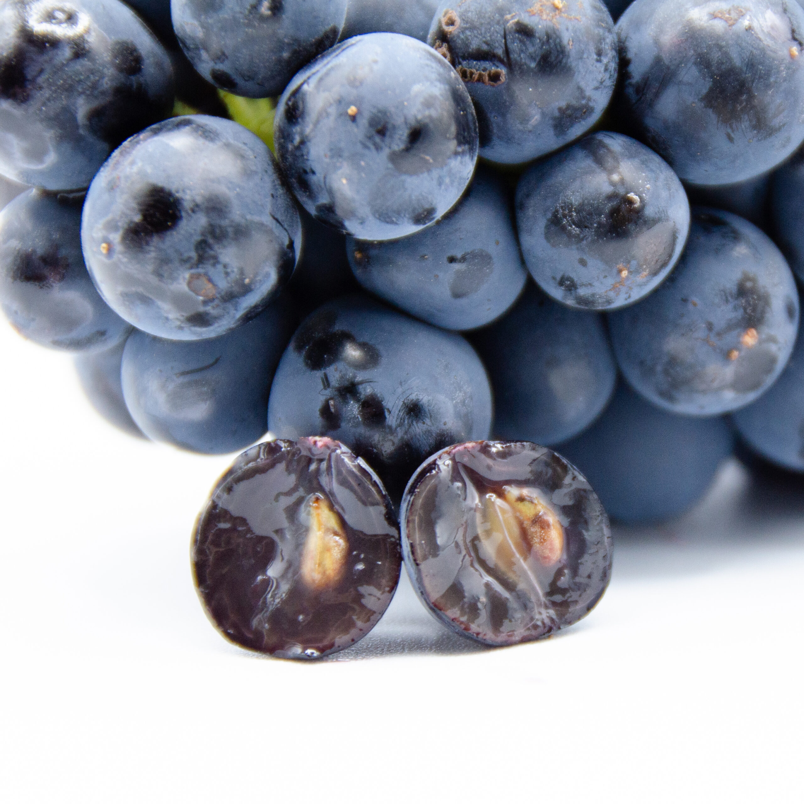Syrah_tryptich_slice_1 Syrah_tryptich_slice_1-scaled