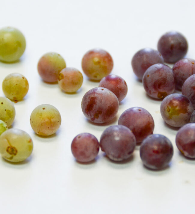 Grape_fruit_color_gradient_threemile_vineyard