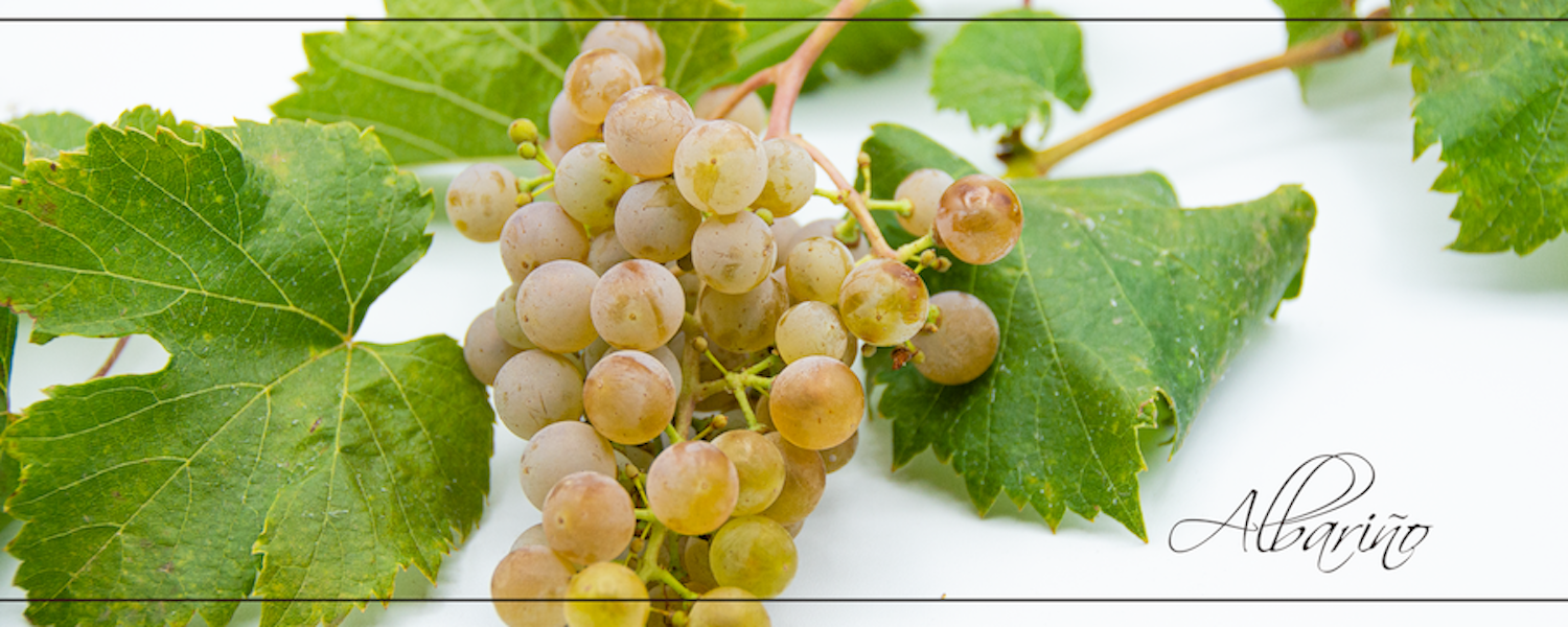 Albarino_header_slider_resized Albarino_header_slider_resized_2