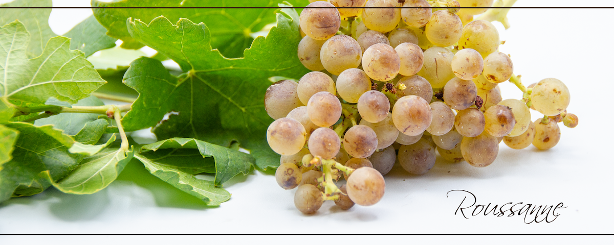 Roussanne_header_slider_Slider_resized Roussanne_header_slider_Slider_resized