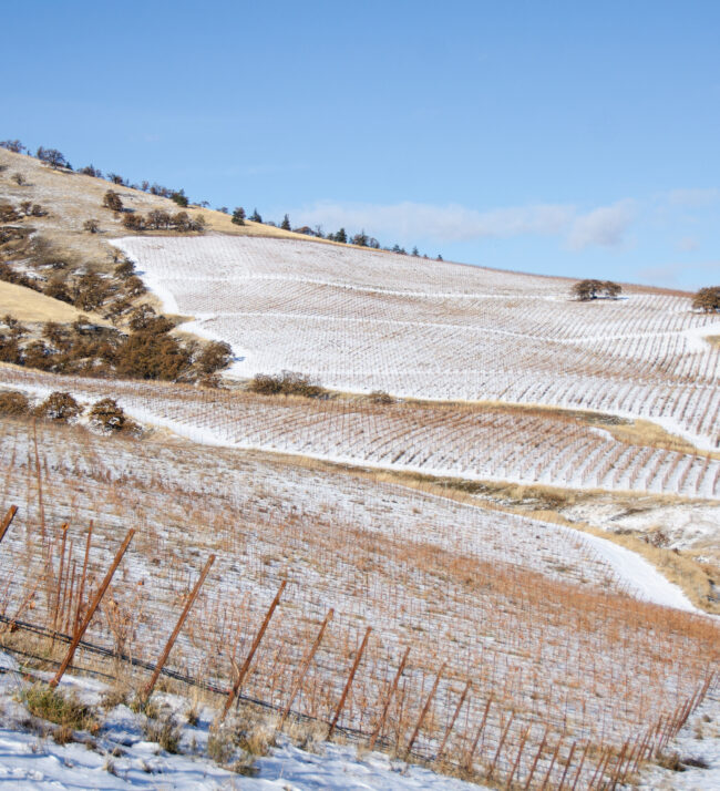 Threemile_vineyard_winter_snow_landscape