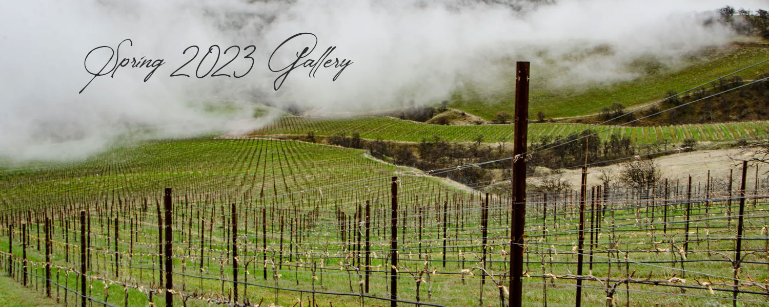 Homepage Slider_summer_2022_gallery_Slider