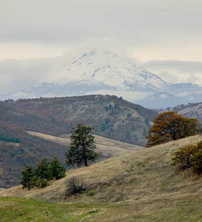 green hills with a snow covered mountain