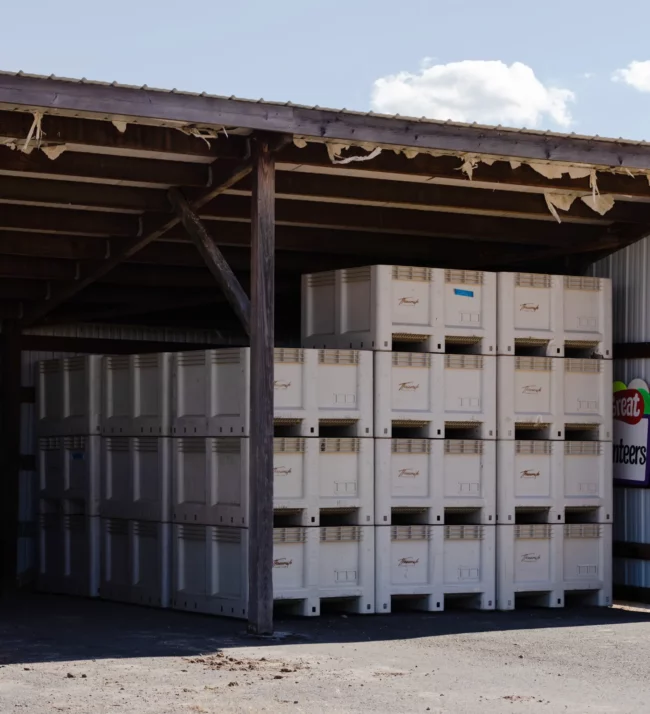 Stacks of harvest bins in the barn