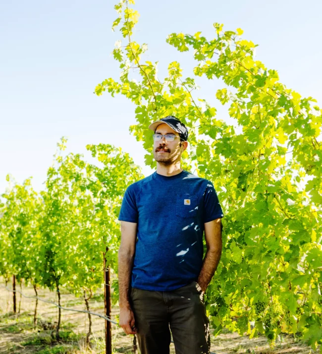 Man standing in the vineyards