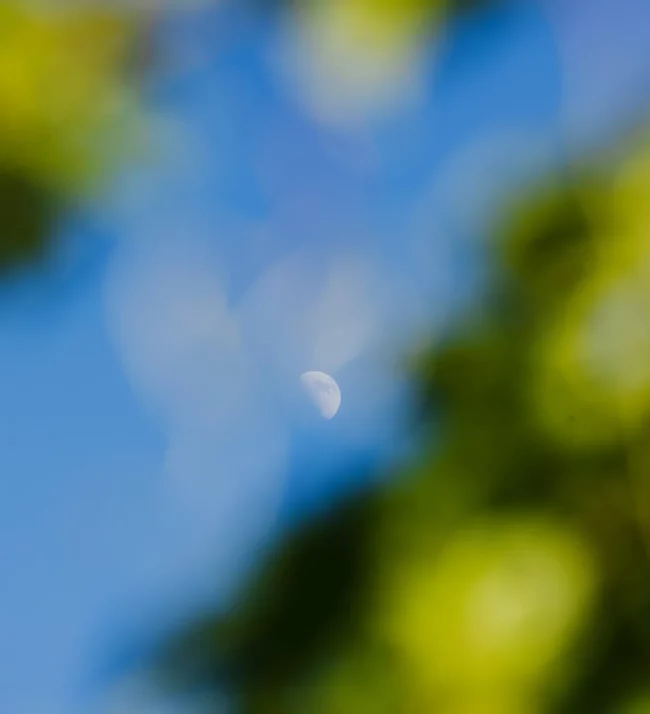 The moon in the blue sky