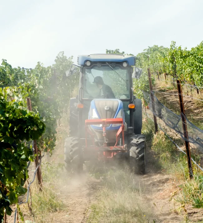 Tractor in the vineyards