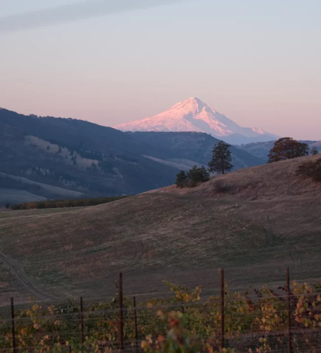 Snow covered Mount Hood behind the rolling hills