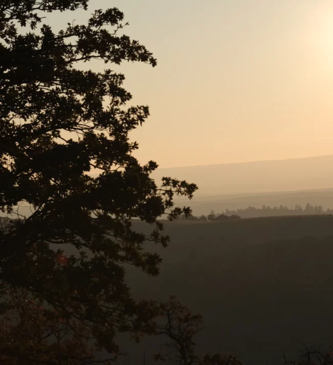 The hills in the sun