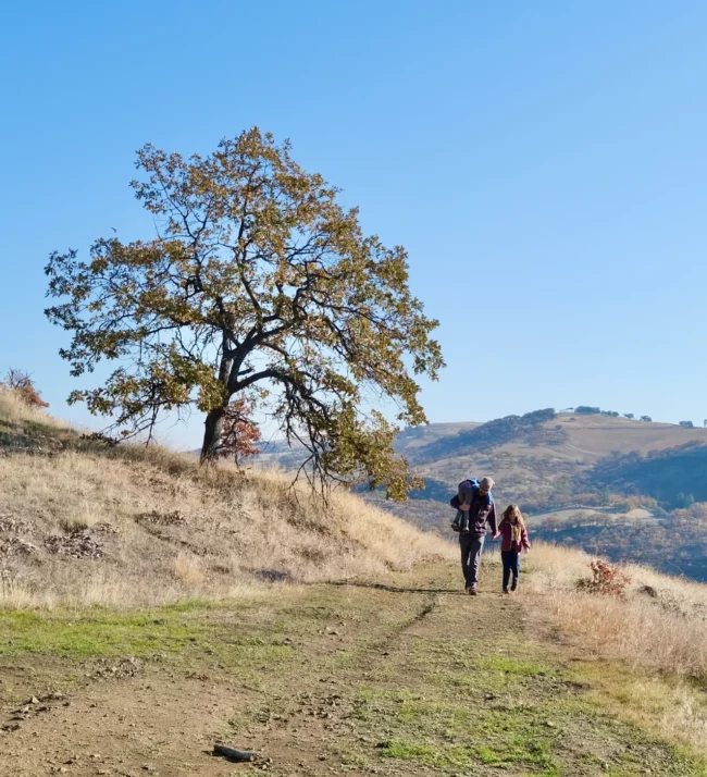 Man with children walking in the fields